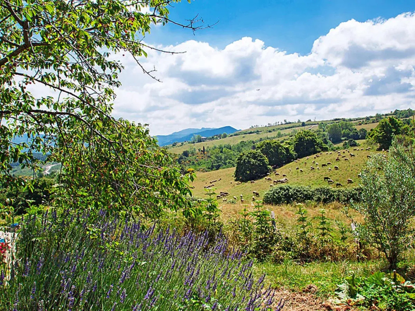 Santa Fiora retreat 30073