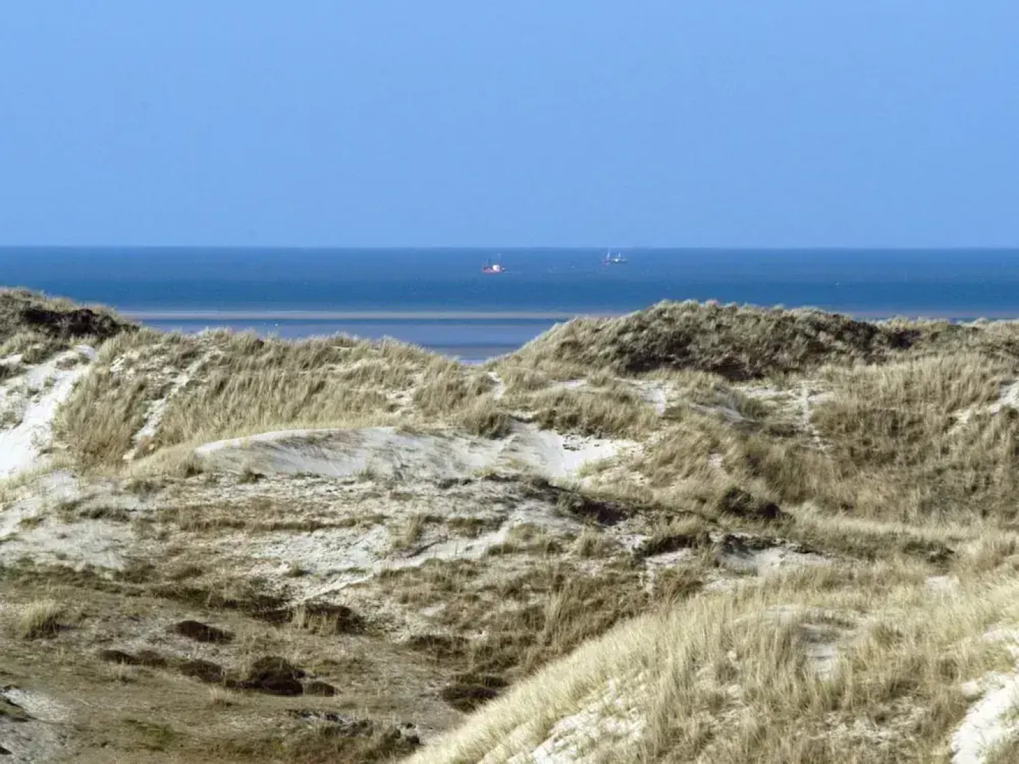 3 Person Holiday Home in Fano