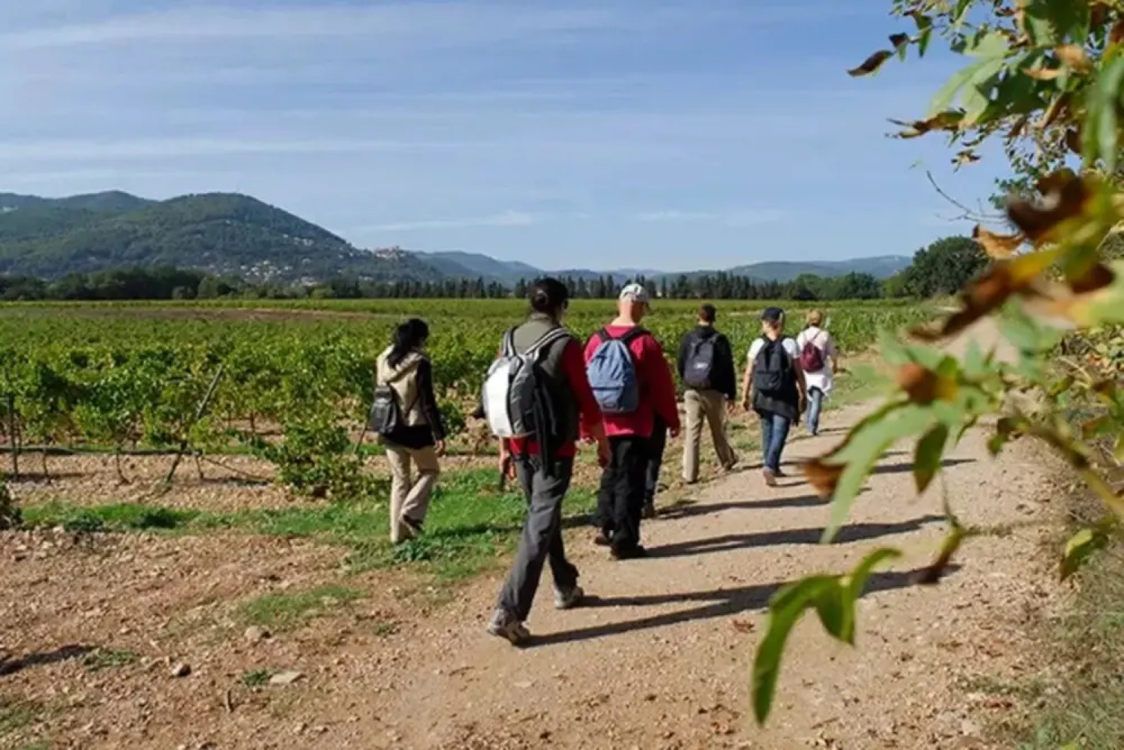 Apartment With 3 Bedrooms in La Crau, With Private Pool, Enclosed Gard