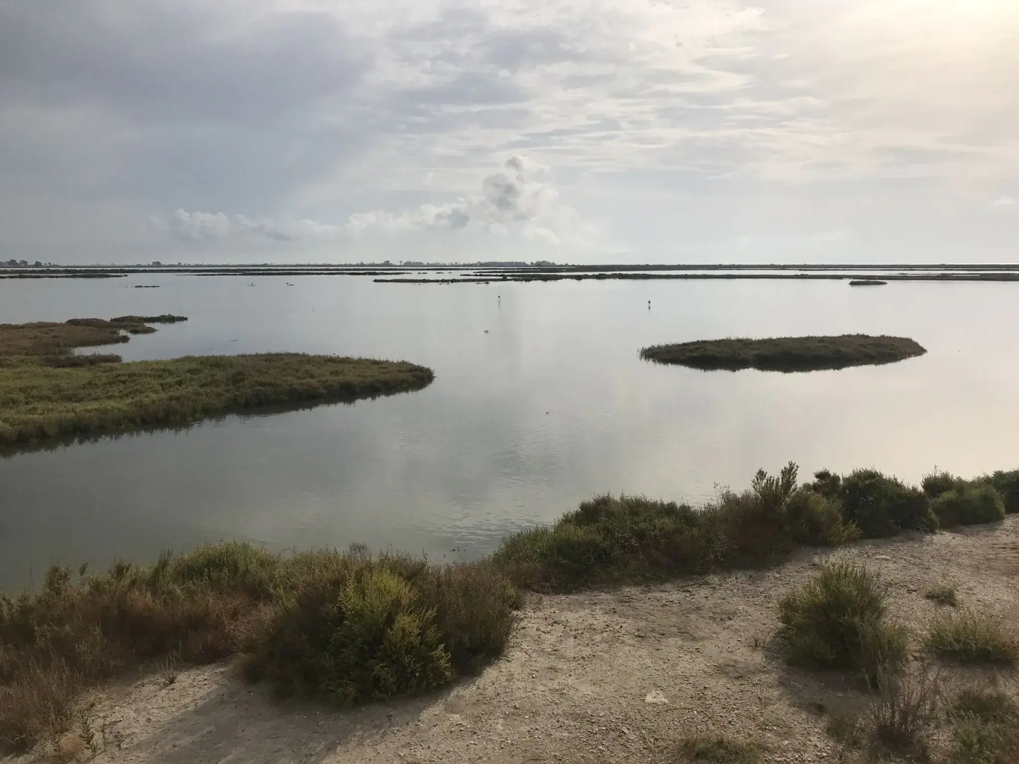 Lovely holiday home in Amposta with a terrace