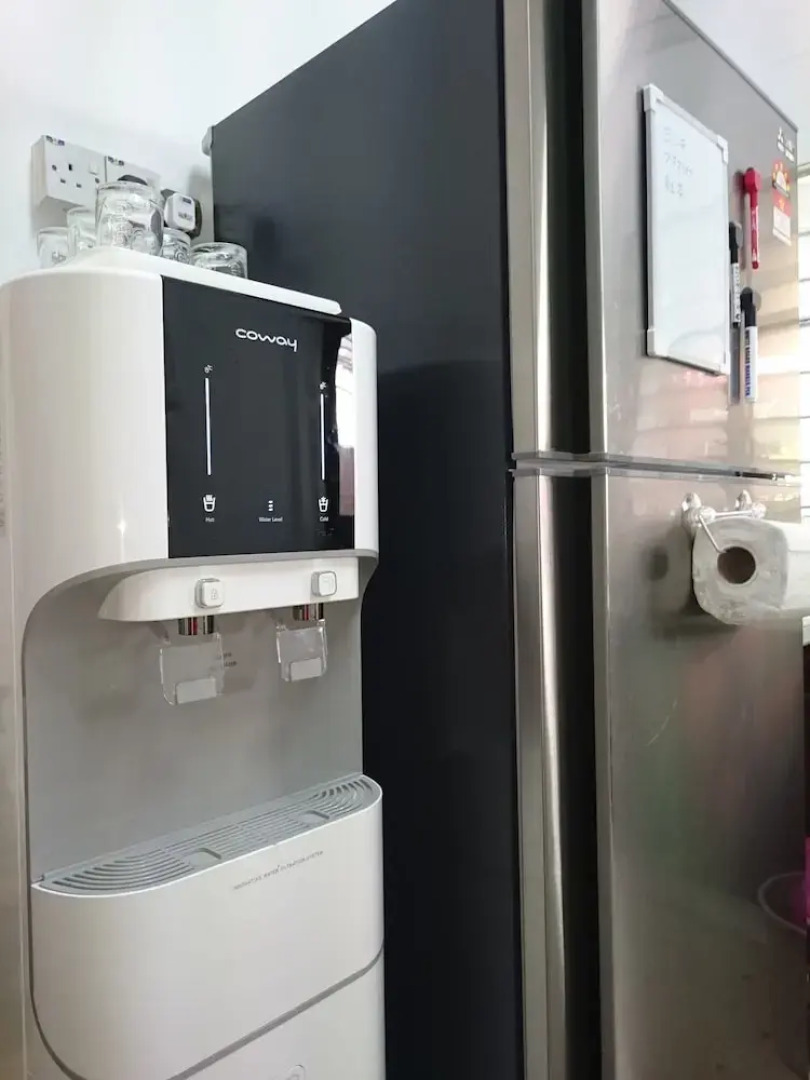 Sea Lion by the Beach