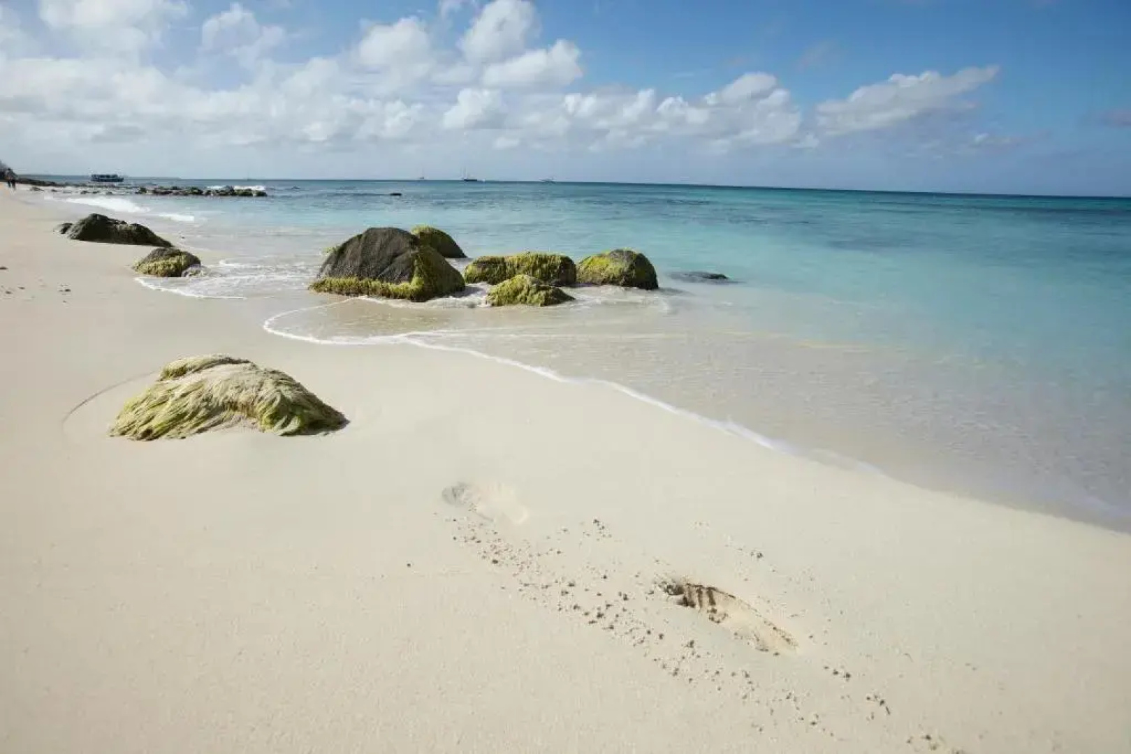 Villa Bougainvillea Aruba