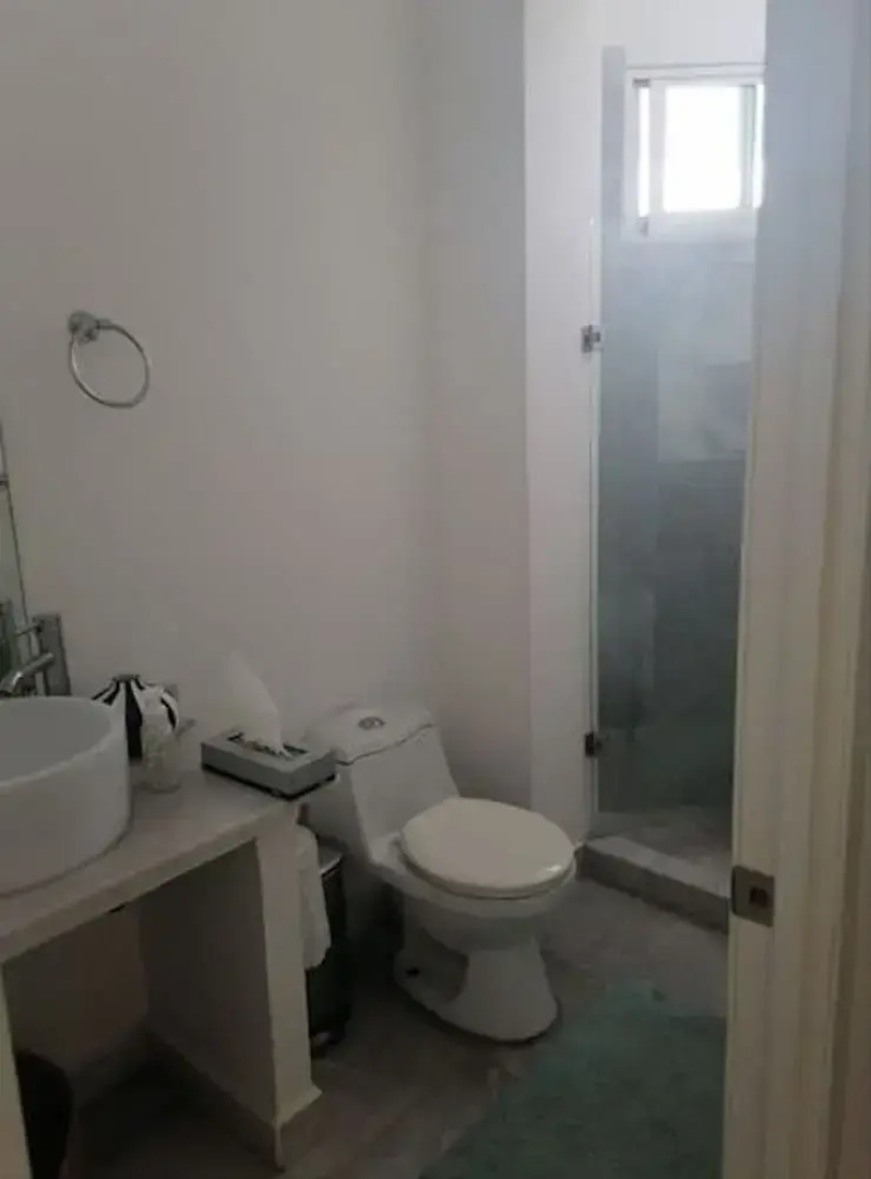 Aria Ocean 255 Flamingos