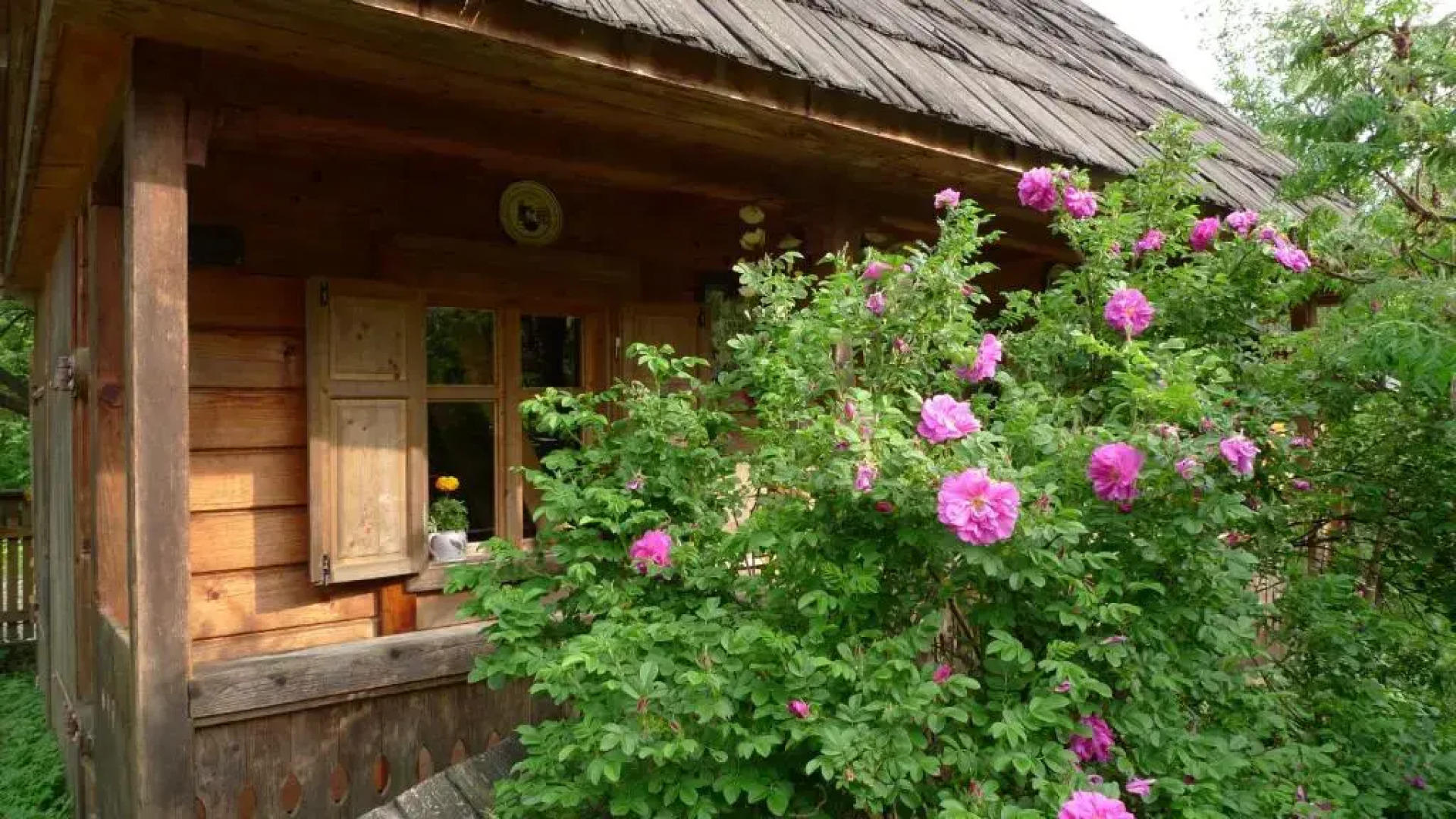 Woodenhouse Maramures