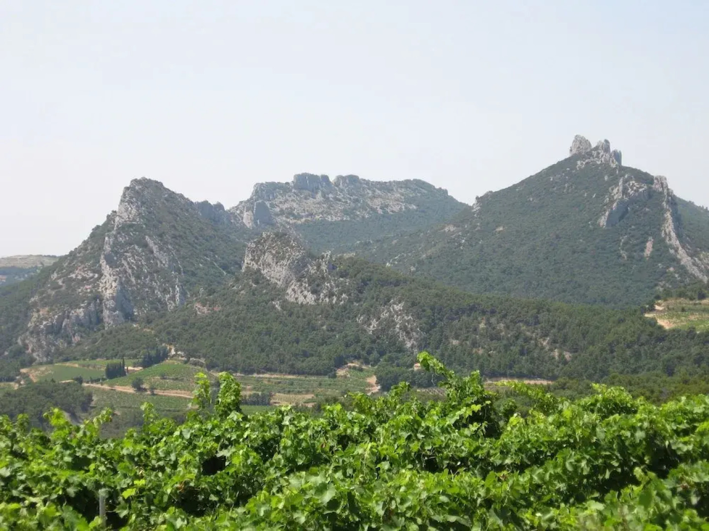 Charming Cottage With Pool and Beautiful Garden, 1 km From Faucon