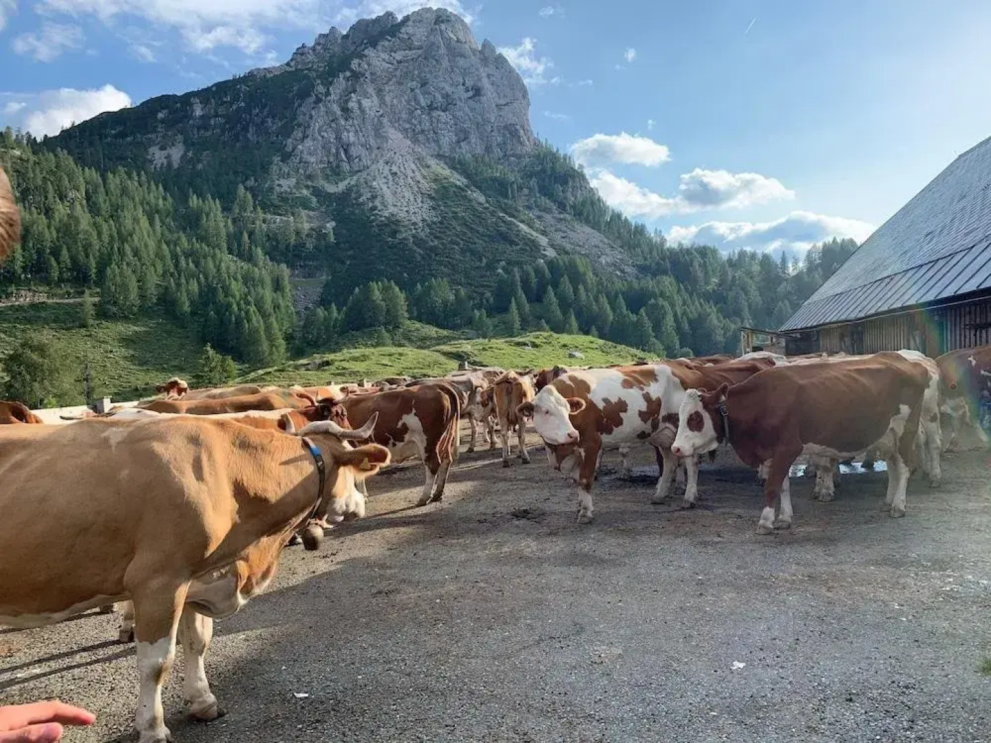 Chalets Und Apartments Hauserhof