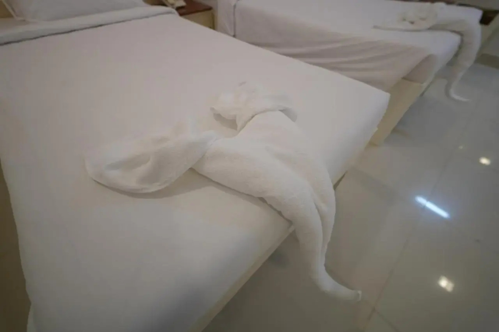 Hotel Palmyra Grand Inn