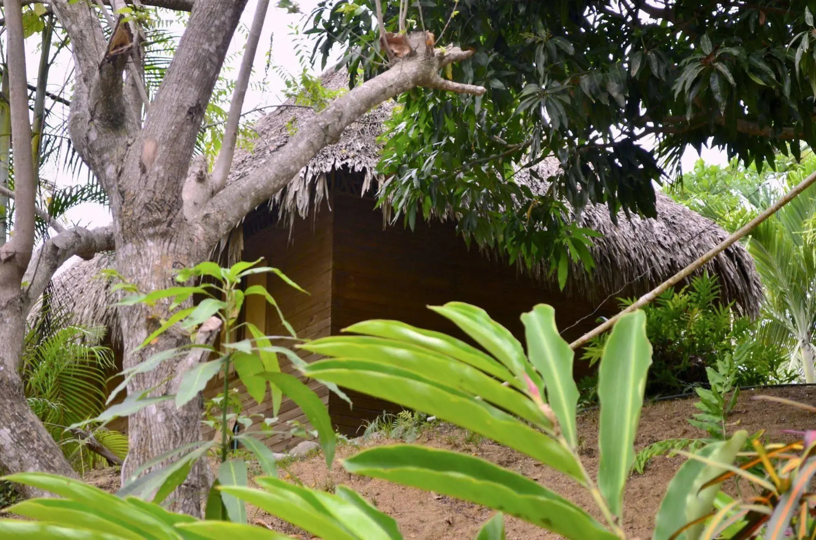 Posadas Ecoturisticas San Rafael