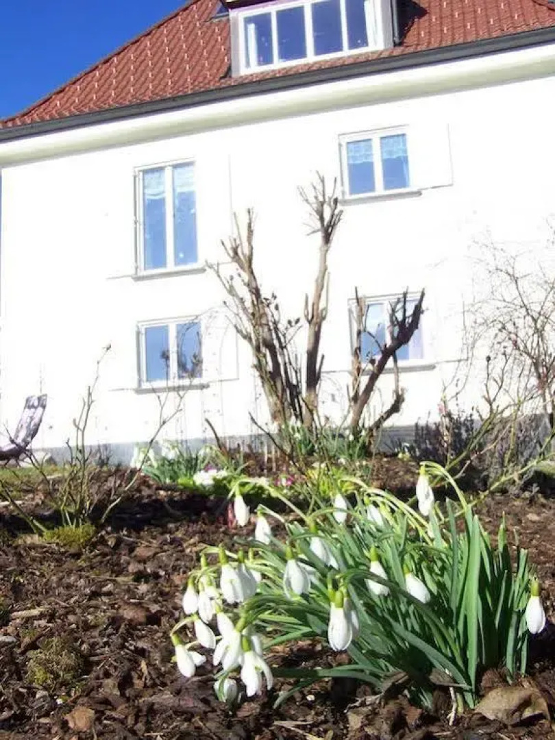 Apartment Urlaub bei Freunden