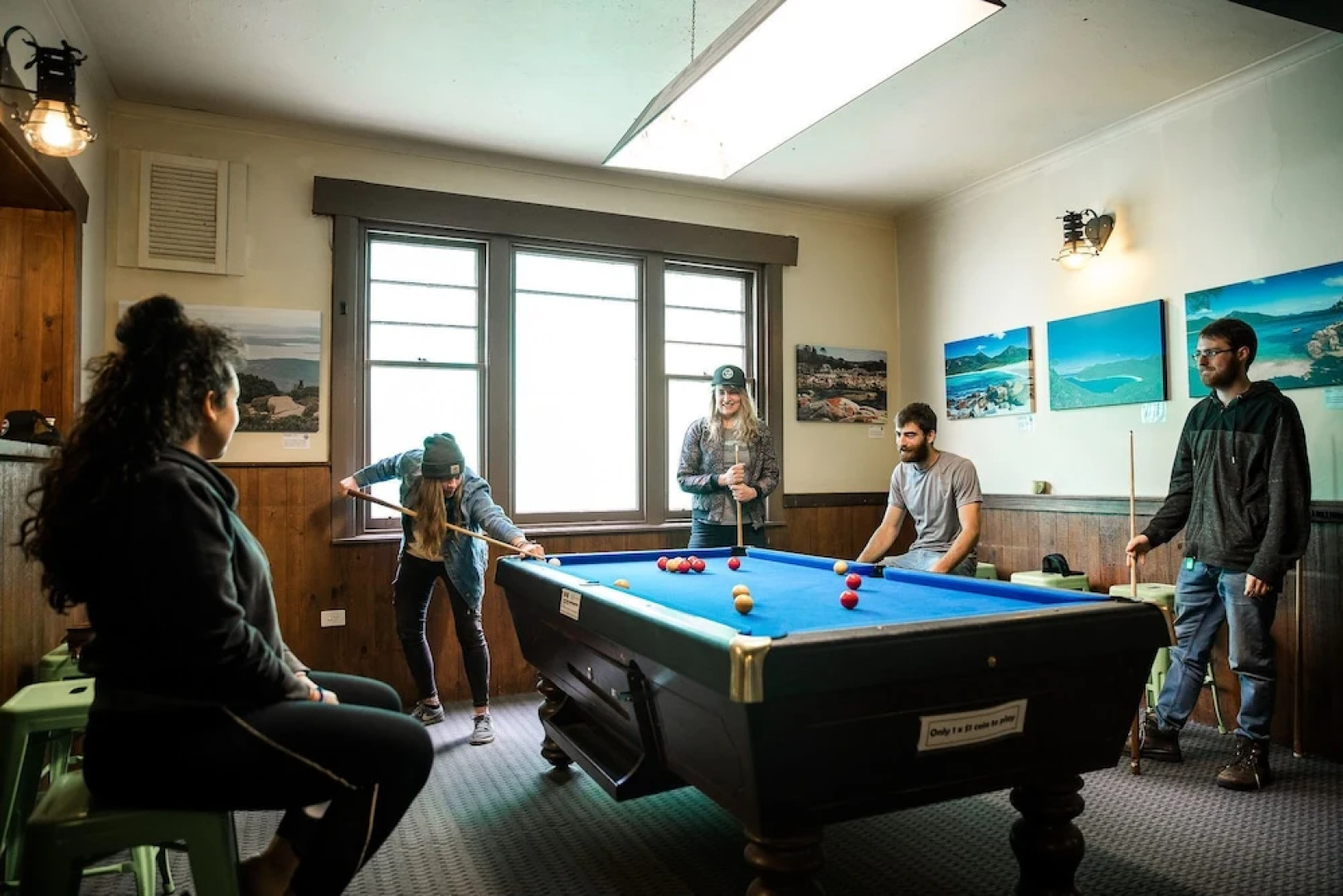 The Pickled Frog - Hostel