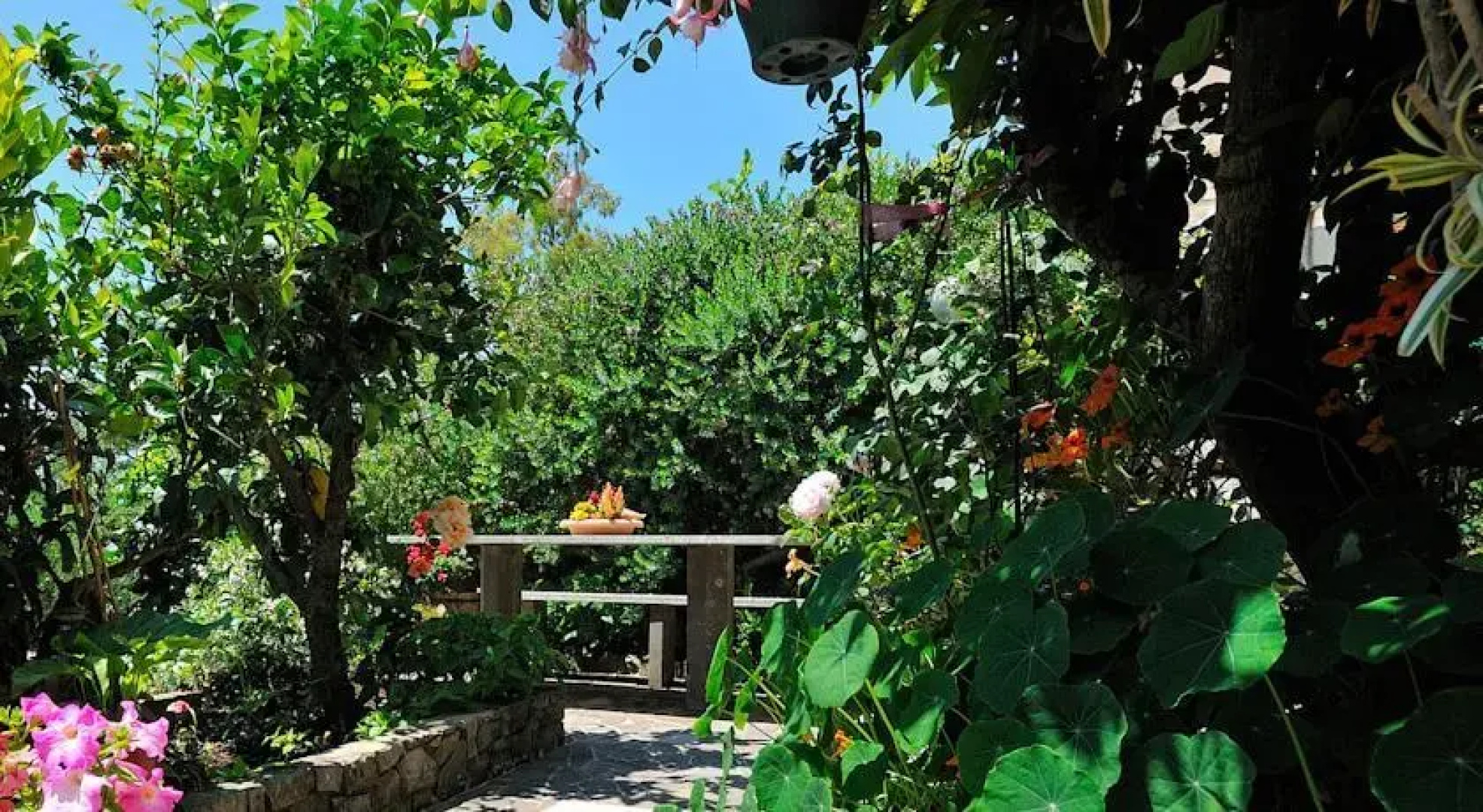 B&B Angeli E Cavalli