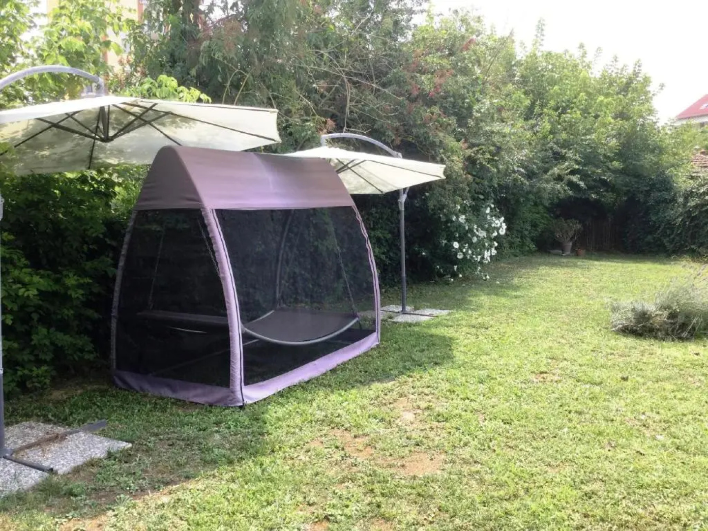 Casa di Sissy - Zona Villa Igea CIR 00600100001