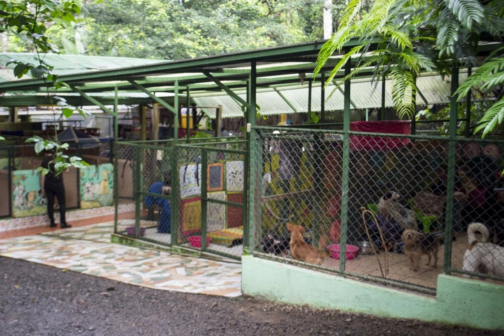 Lands in Love Tierras Enamoradas