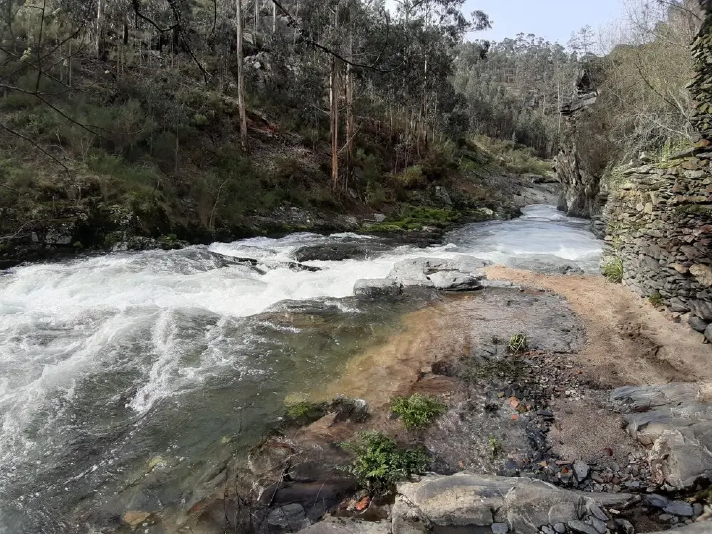 Quintinha da Amizade