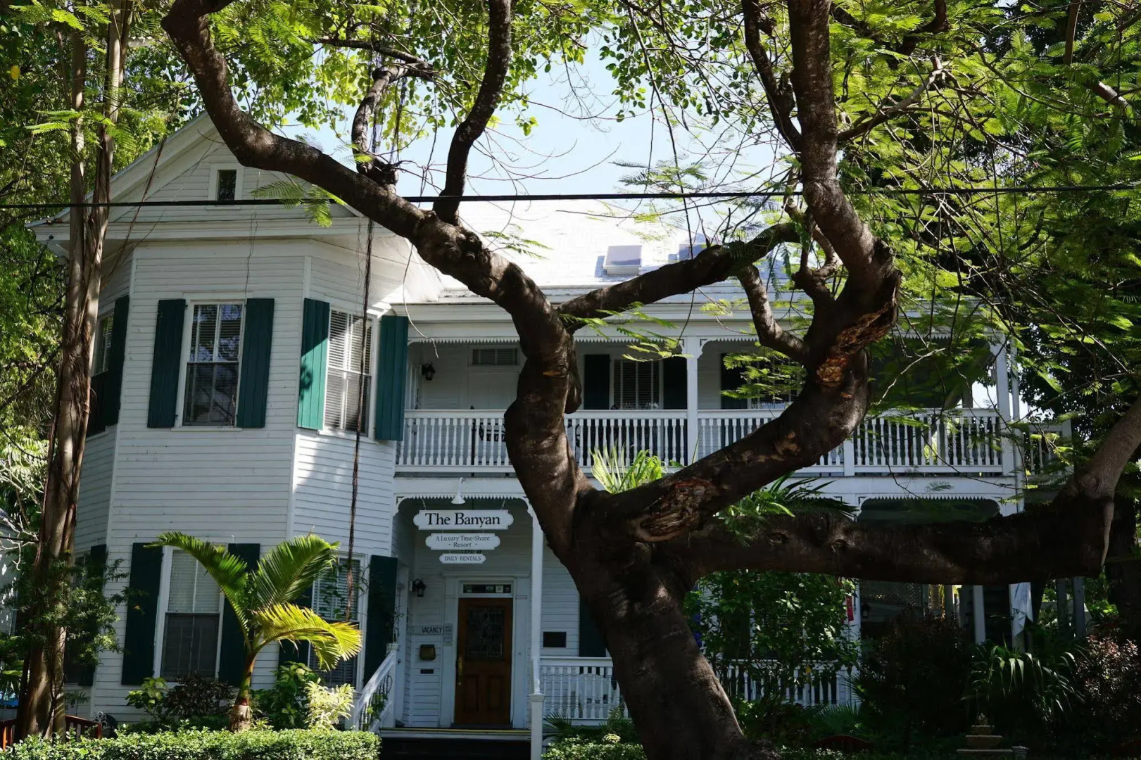 The Banyan Resort