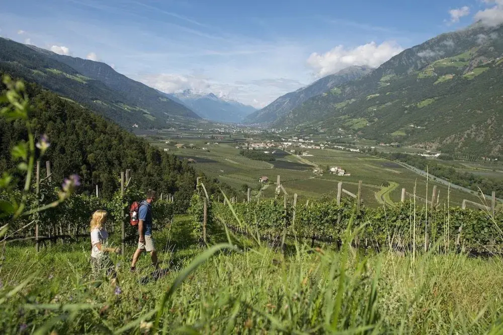 Vitalpina Hotel Belvedere Naturns - Adults Only - 14 Plus