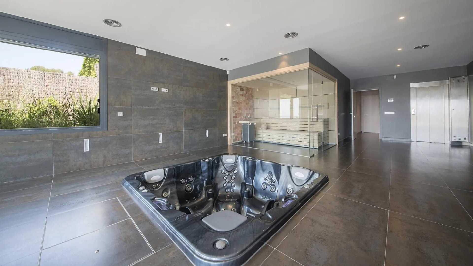 TH85-Limonium-9 in Tarragona