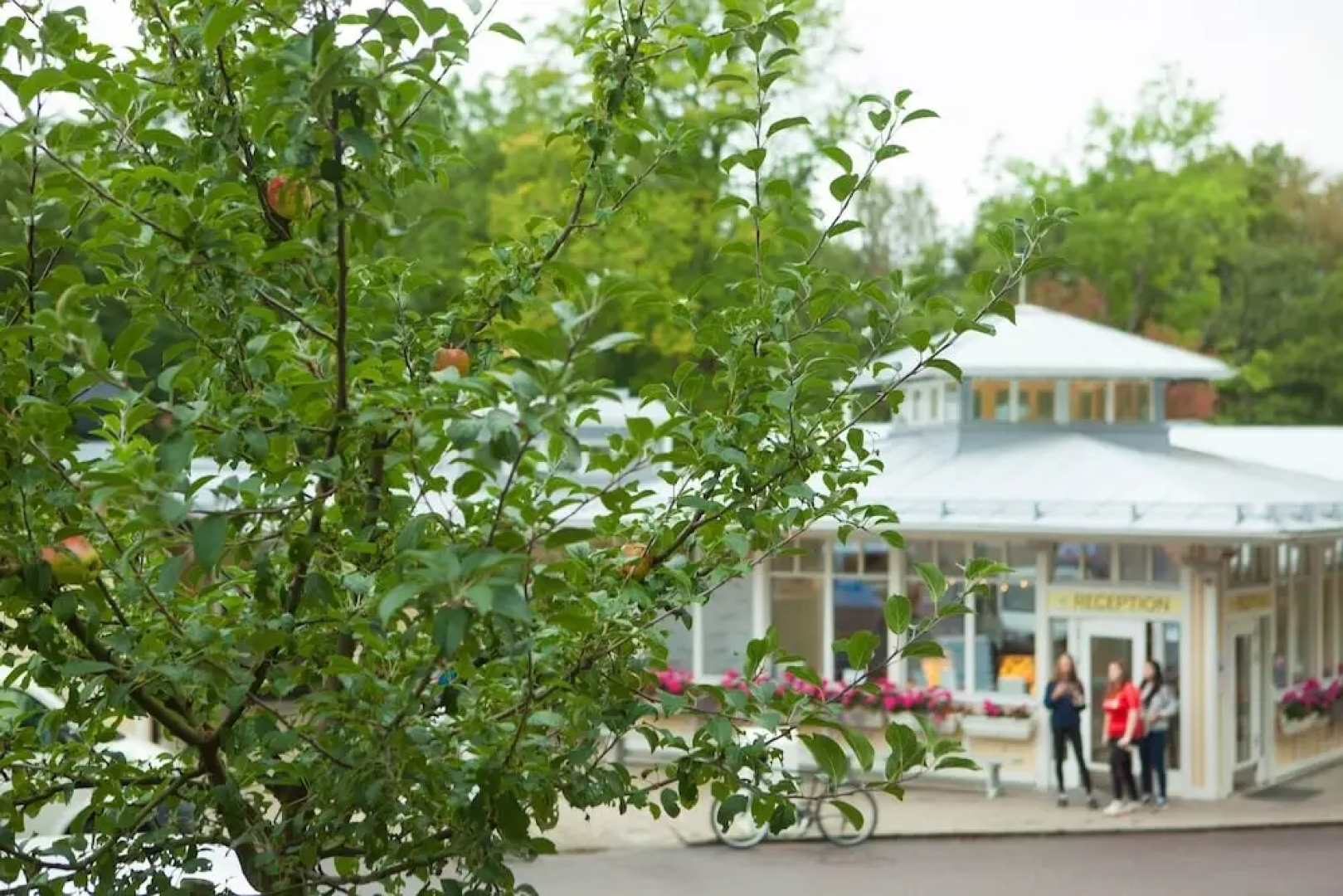 Lisebergsbyn Bed & Breakfast