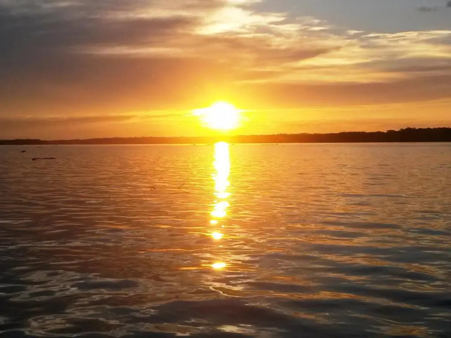 Avatar Amazon Lodge & Canopy Park