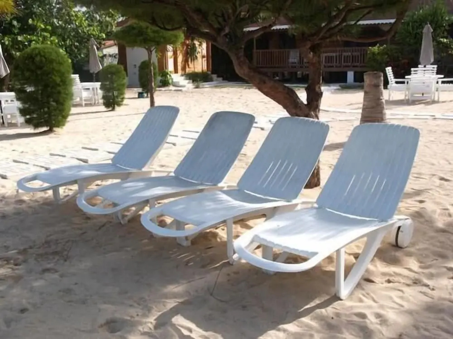 Fern Court Apartment With Oceanic View III