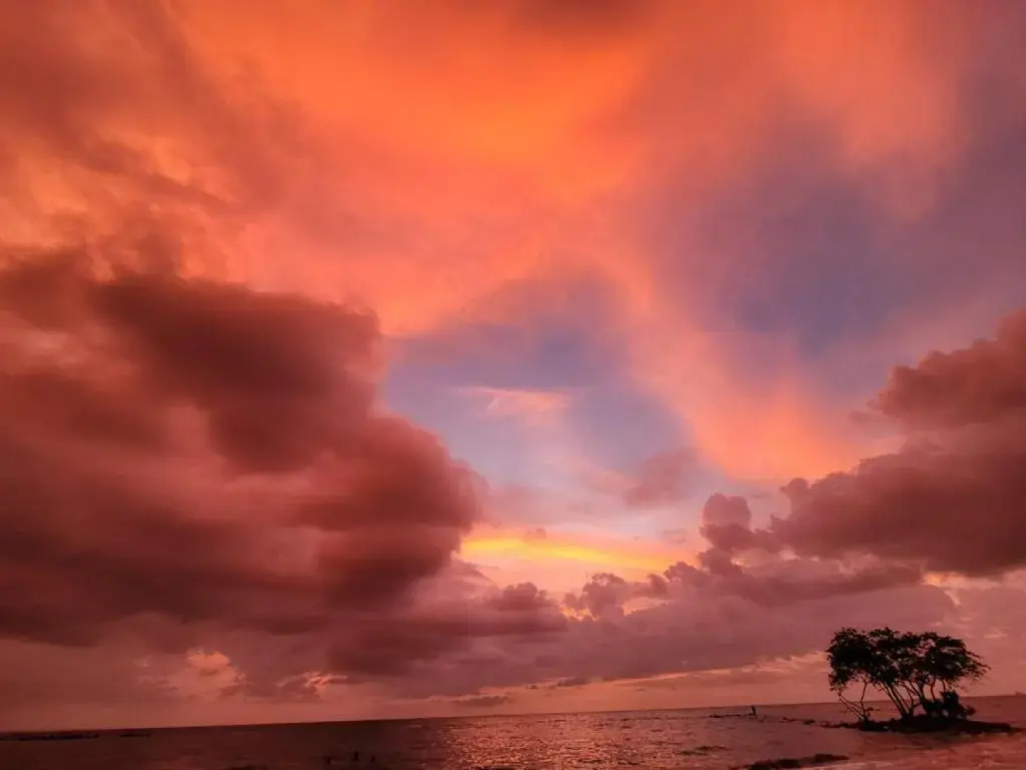 Hospedaje Los Bohios