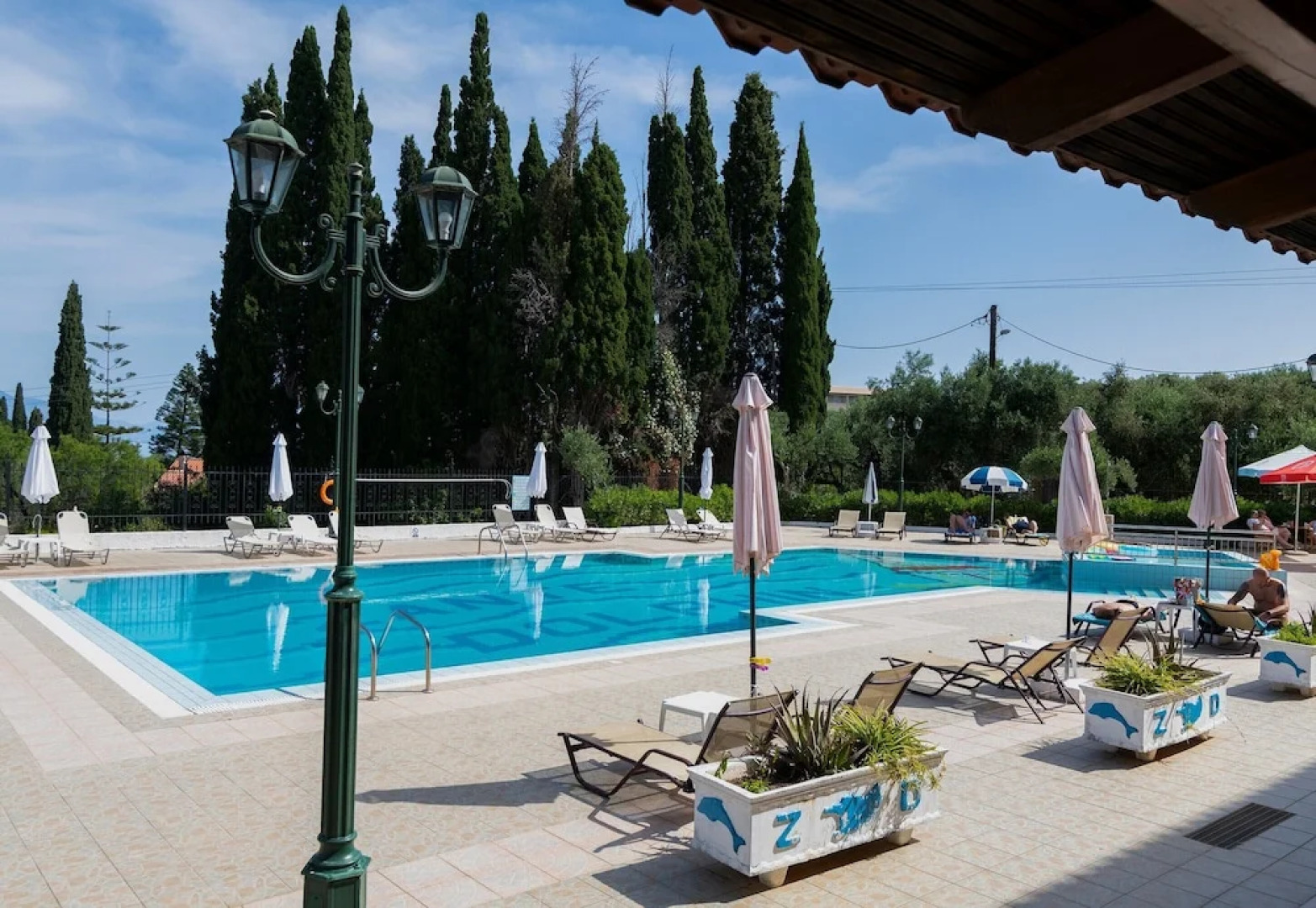 Zante Dolphin II Alykes