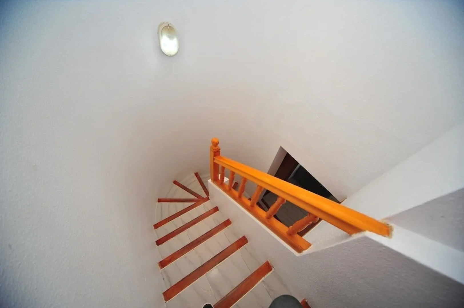 Costa Brasil Orange Costa