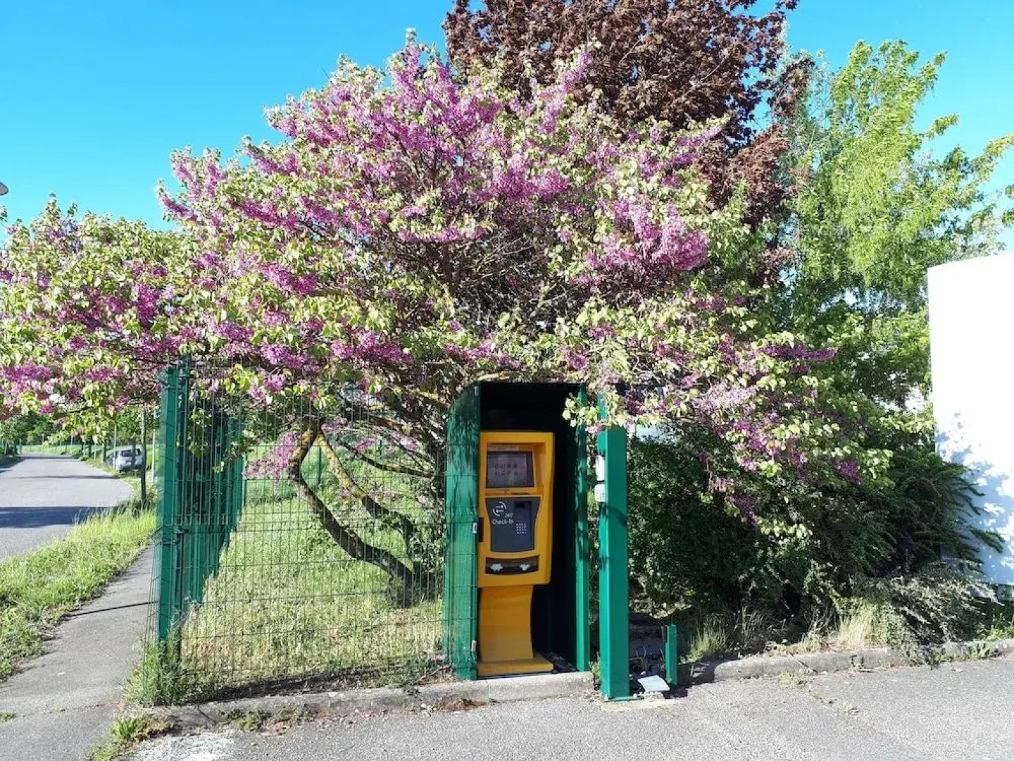 Hotel et Residence Bartenheim