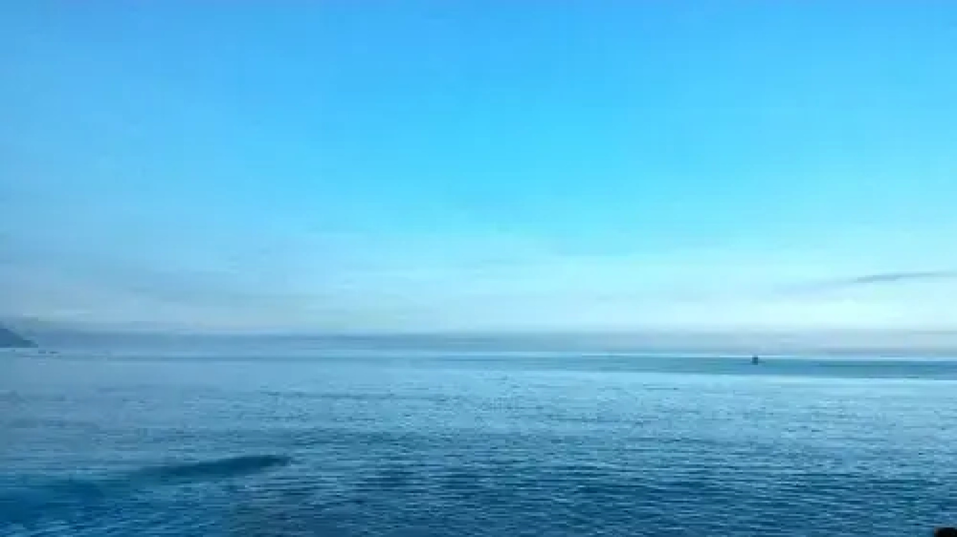 Sweet Cotton Candy 2