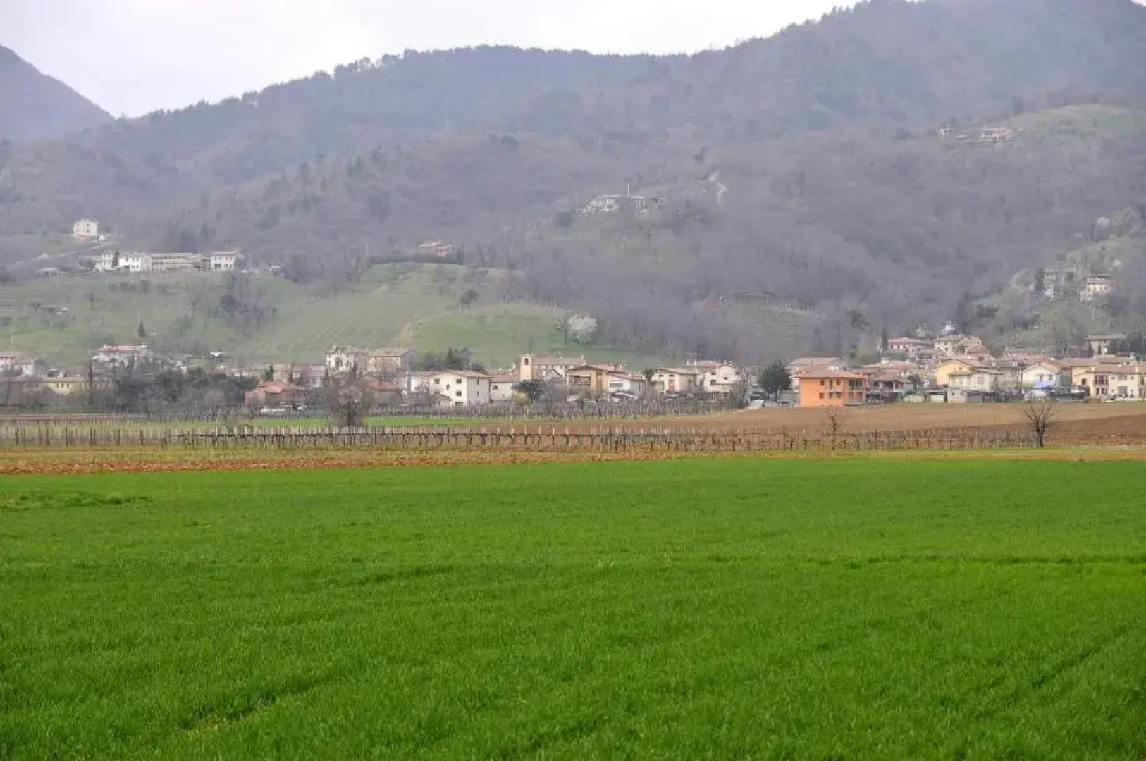 Agriturismo SantAndrea