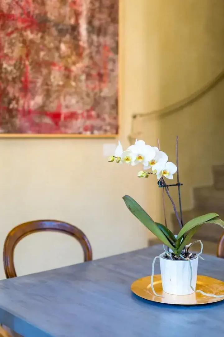 White Lilac romantic B&B adults only