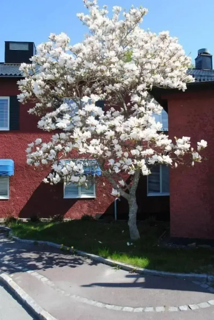 Slagsta Hotell & Wärdshus