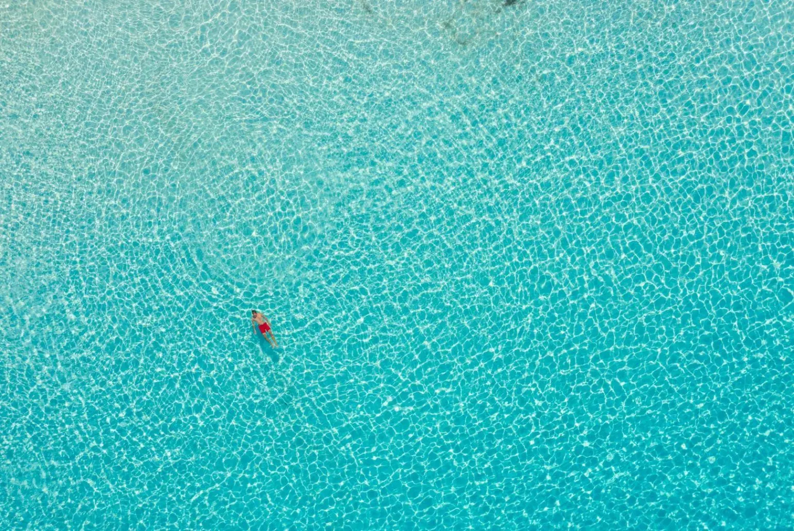 Dolphin Villa 1