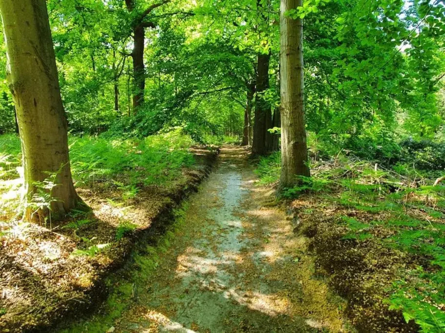 Jagershuis sinds 1724 op landgoed Princenhof