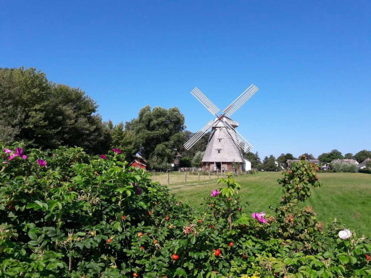 Delightful Apartment With Terrace, Parasol, Garden Furniture