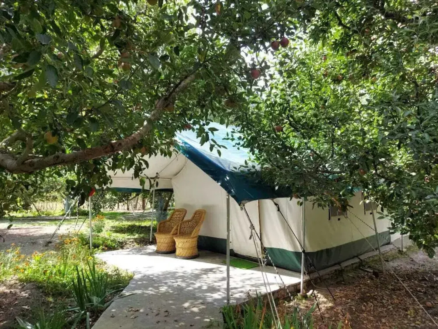 Apple Orchard Farm and Camping