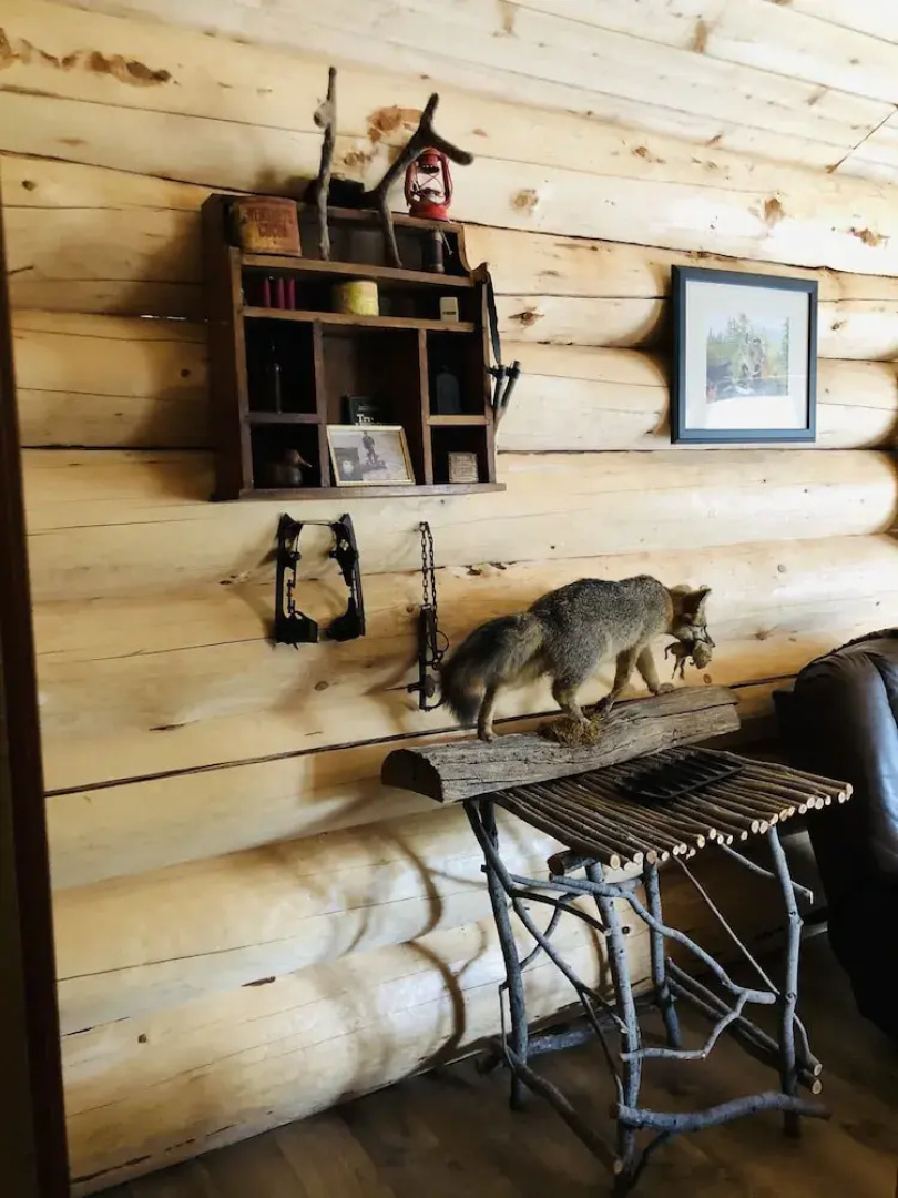 Wrangell Mountain Lodge