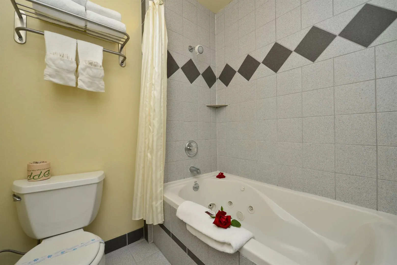 University Inn & Suites