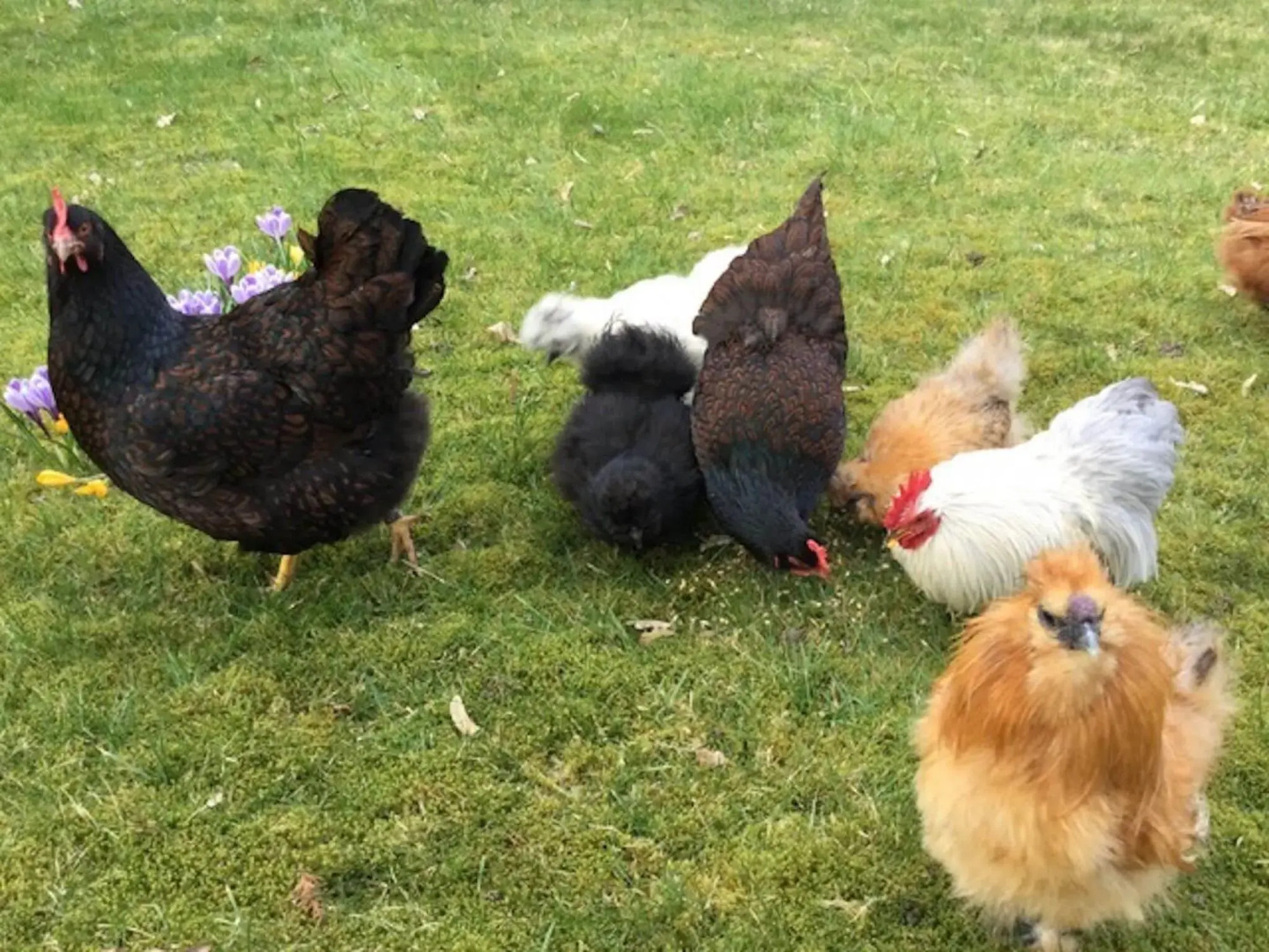 Tranquil Holiday Home in Winsen near River