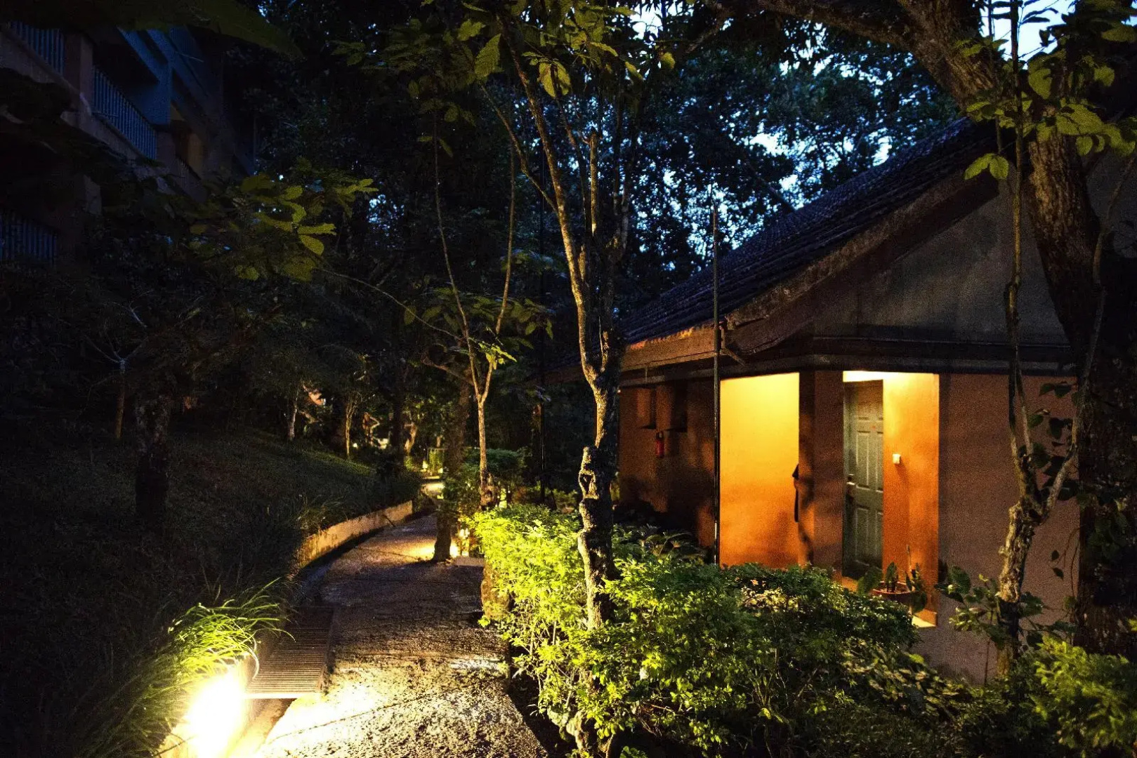 Green Forest