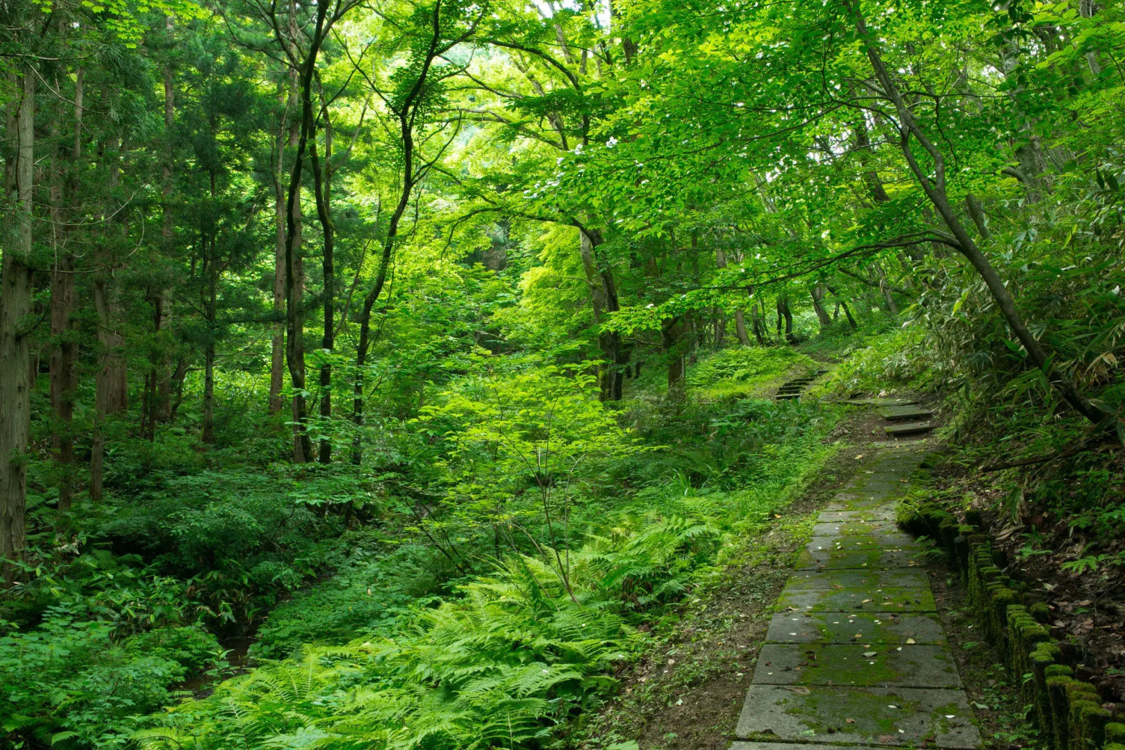 Inawashiro Shikinosato