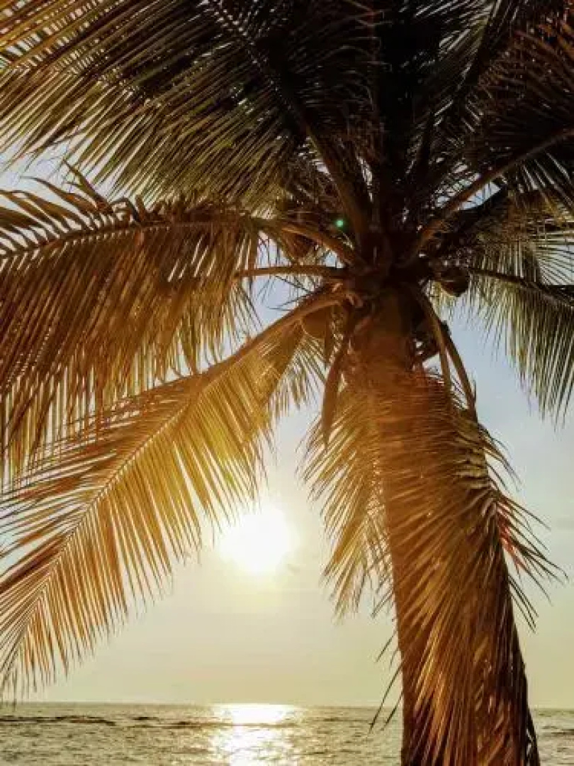 Seaside Inn Roatan