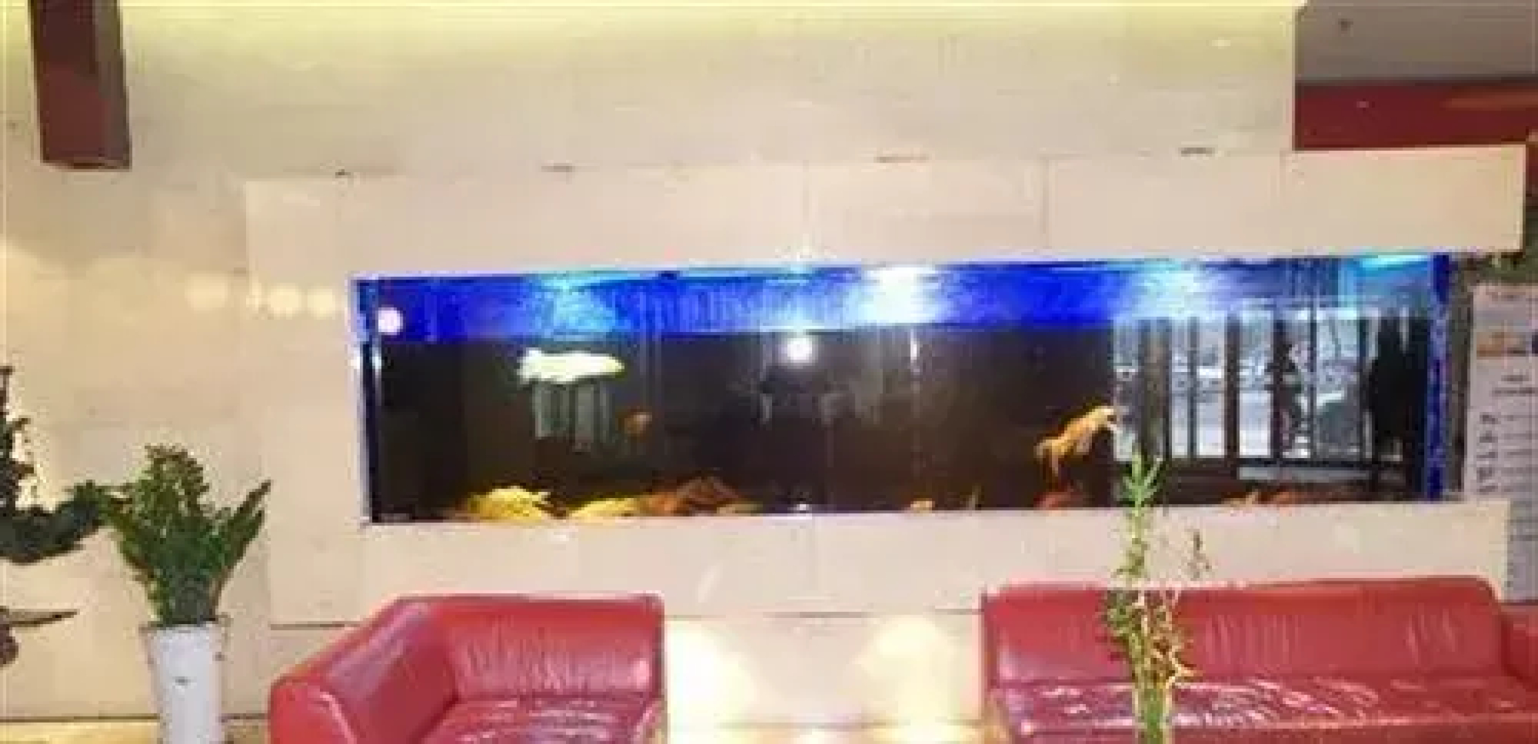 Ruyi Hotel Urumqi