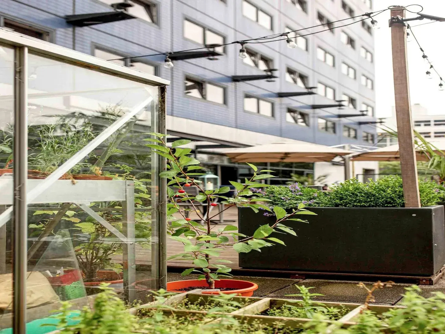 Mercure City Den Haag Central Hotel