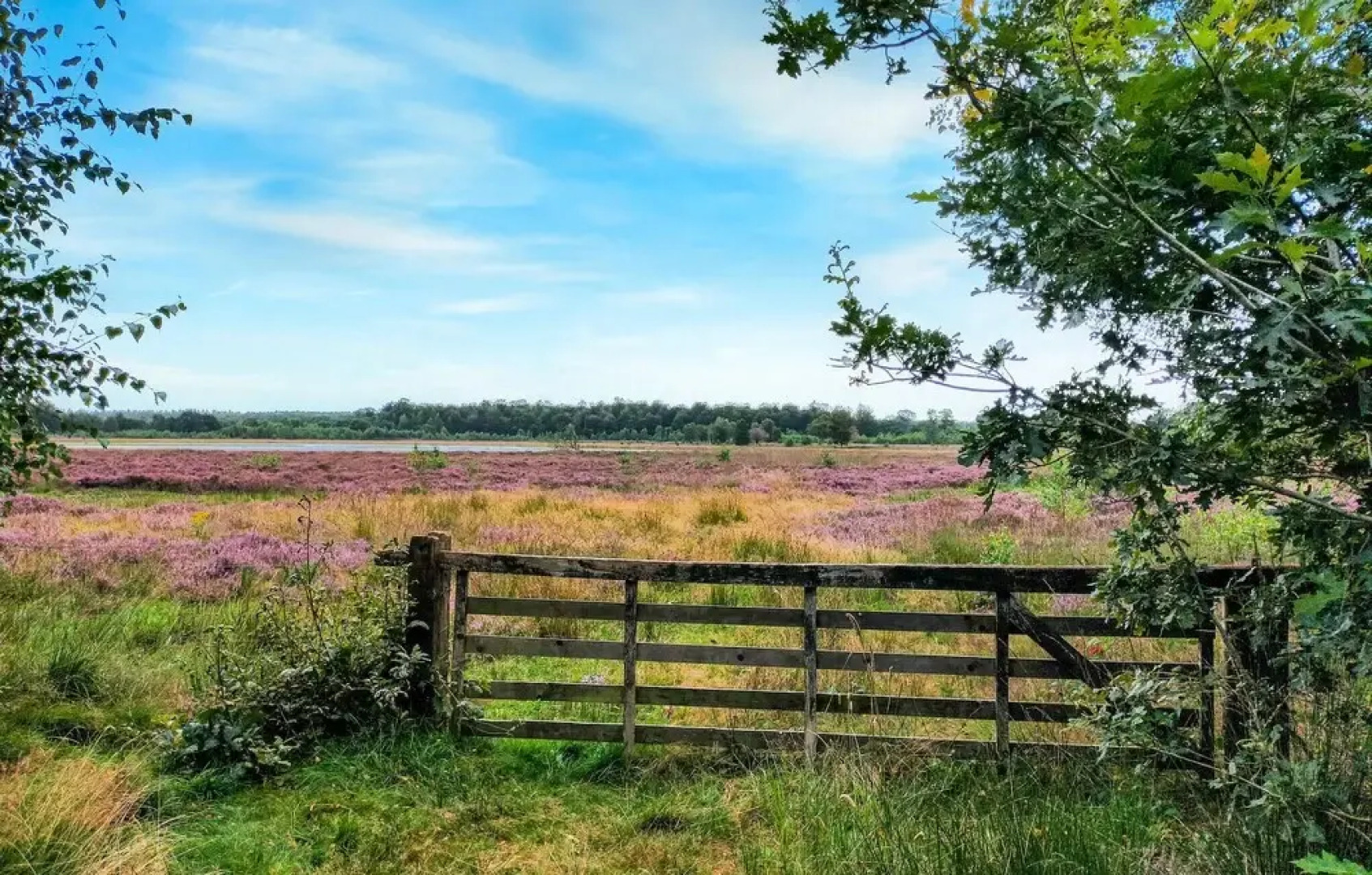 Nice Home in Schoonloo With 1 Bedrooms, Wifi and Outdoor Swimming Pool