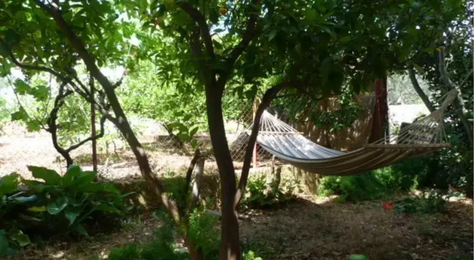 Apartments Zdravka Slatine