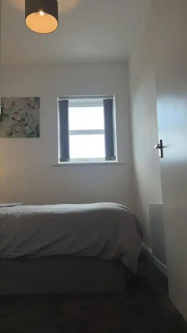 Beautiful 1-bed Apartment in Tipton