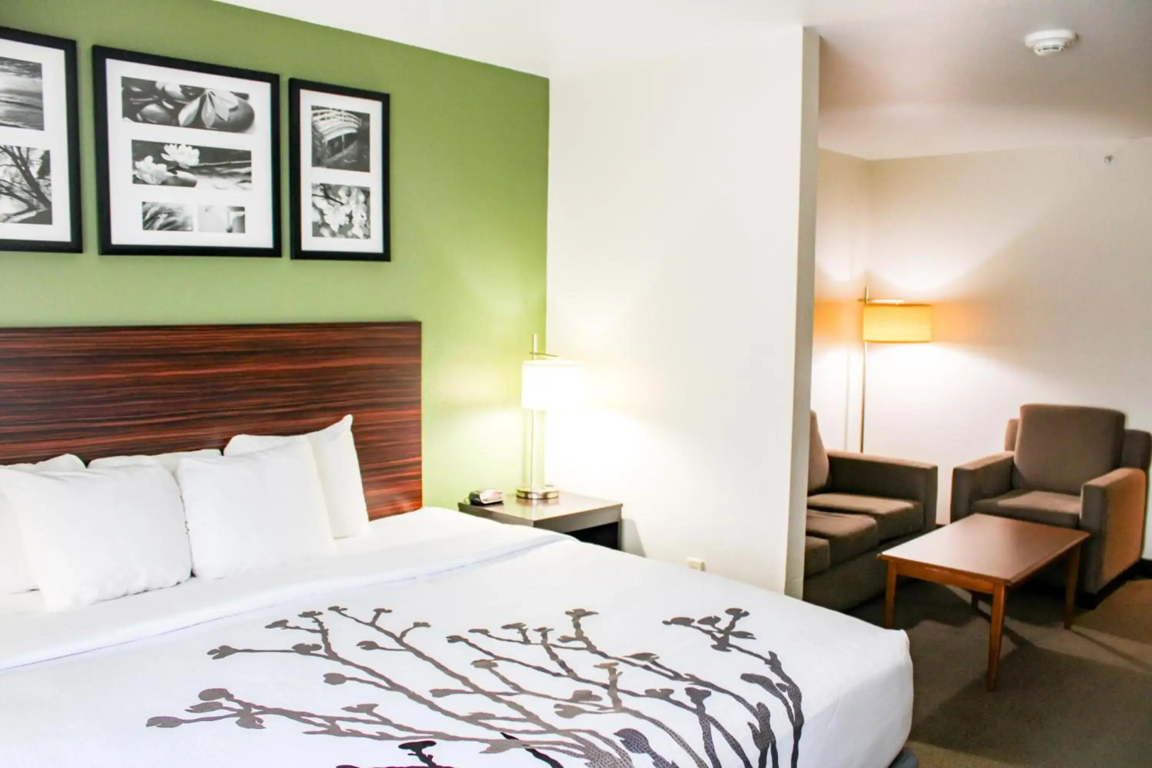 Sleep Inn & Suites Conference Center Eau Claire North