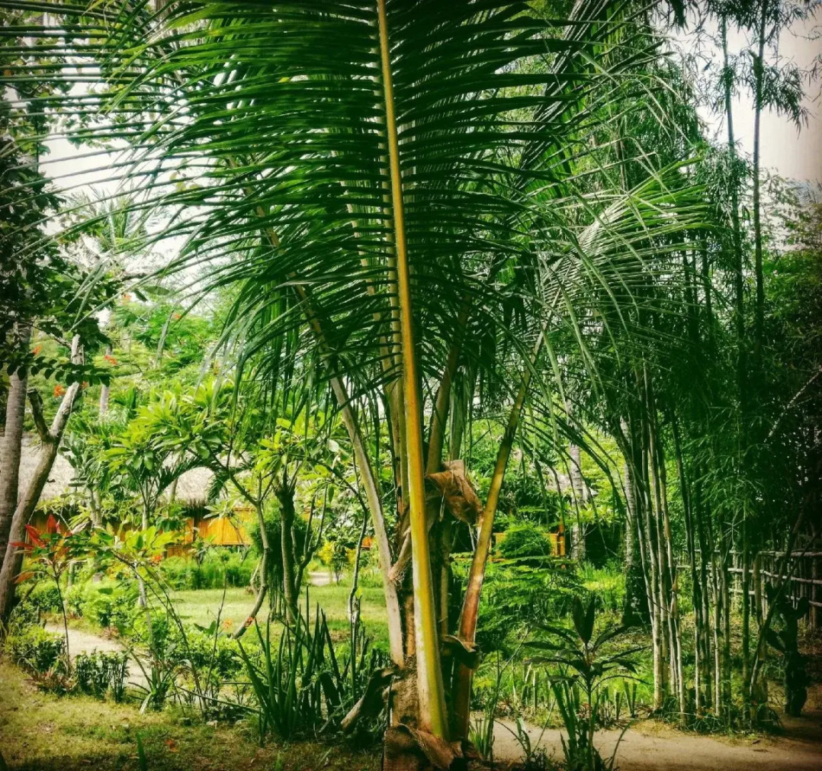 Rinjani Beach Eco Resort