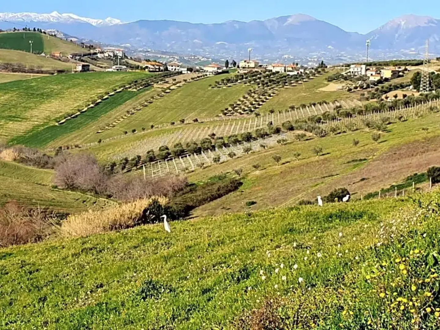 B&B Gli amici del tubarello